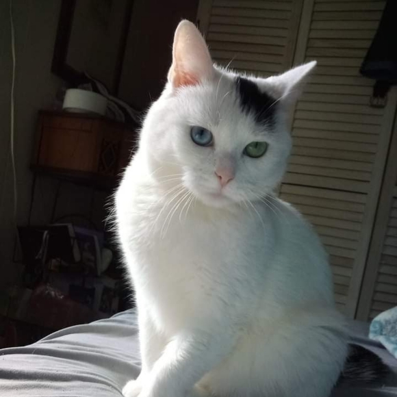 Meet your Posher, Maddie - Picture 5 of 7